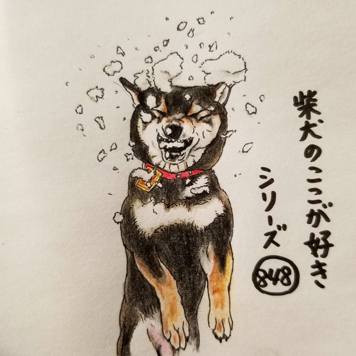 ここ柴 Pa Twitter 雪遊びが好きだけど 雪玉を顔面で受け止めちゃうとこ ボールと違うから 噛んだら割れちゃうよー 柴犬のここが好き ここ柴 ここ柴部 柴犬 イラスト 黒柴 ここ柴 Pa Twitter 雪遊びが好きだけど 雪玉を顔面で受け止めちゃうとこ ボールと違うから 噛んだら割れちゃうよー 柴犬のここが好き ここ柴 ここ柴部 柴犬 イラスト 黒柴