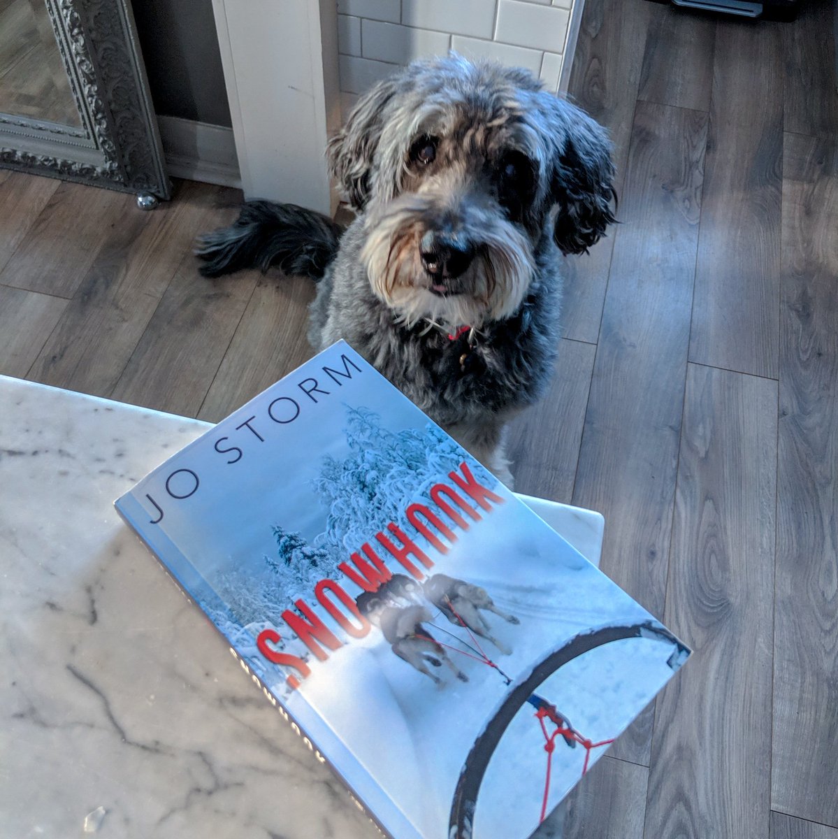 dundurnpress's tweet photo. We are giving away a copy of #Snowhook by @jostormstories to one lucky winner! 🐾 RT for your chance to win! (Dog not included) https://t.co/KLF0yhlL7g
