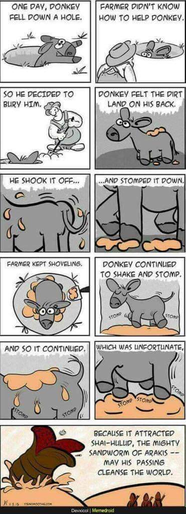 rbanffy's tweet image. 