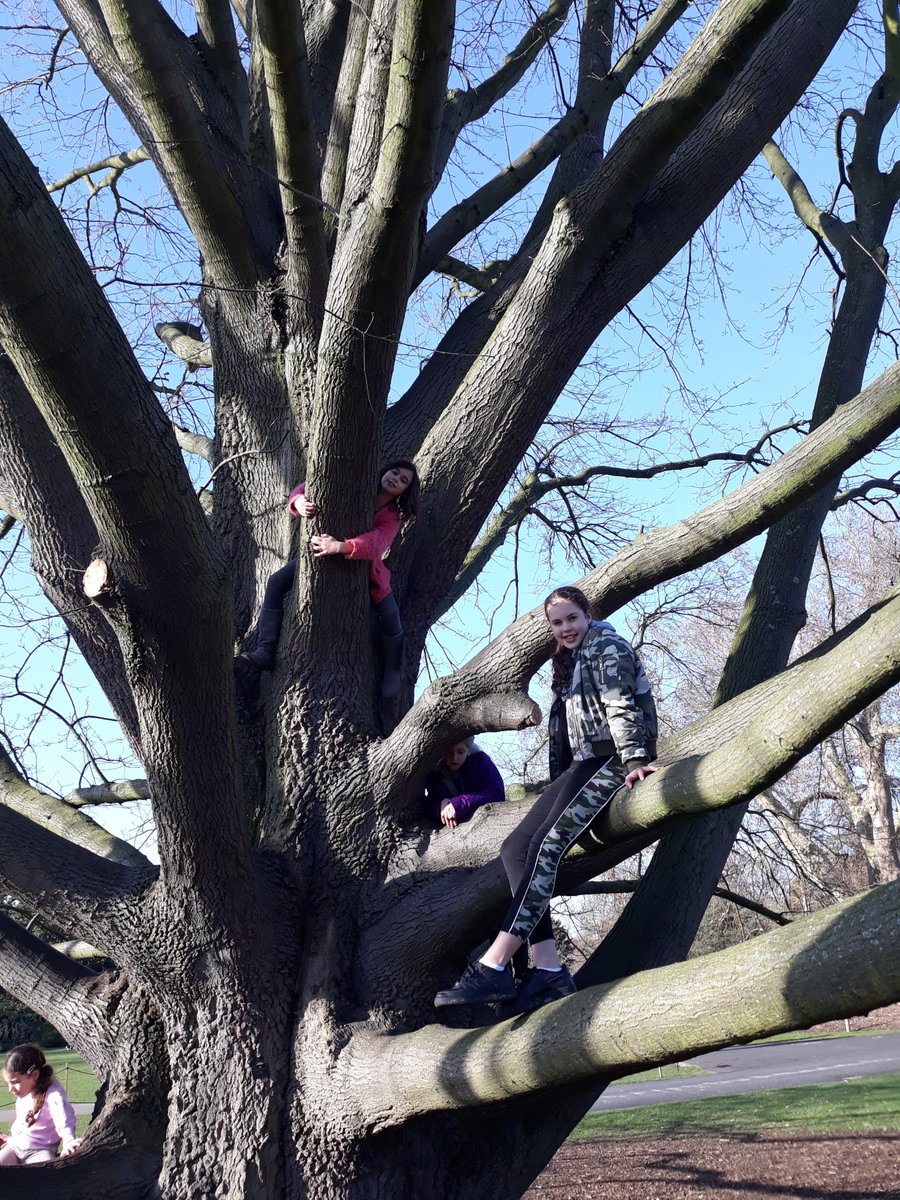 Ginsterbabe's tweet photo. Lucky to have a beautiful, balmy day last week at #KewGardens with my girls. Tree climbing and flower admiring with the sun shining! The #ColoursofColombia is spectacular! https://t.co/7OGMDW7Mg2 #flowerpower https://t.co/d76S7vHdlp