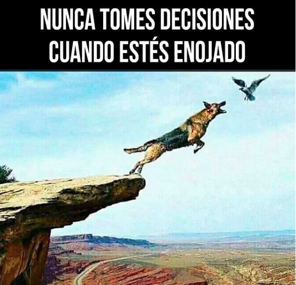 Una regla de oro para tu vida y tu proyecto

#Emprendimiento  #Emprendedores #Entrepreneur