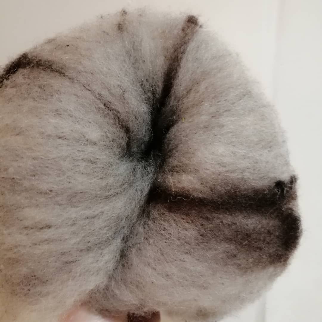 fauxidermy_uk's tweet photo. Batts carded  from Texel Jacob x fleece using classic carder drum carder... #wales❤️ #campaignforwooluk #spinnersoftwitter #spinning #batts https://t.co/yISRgNPfBu
