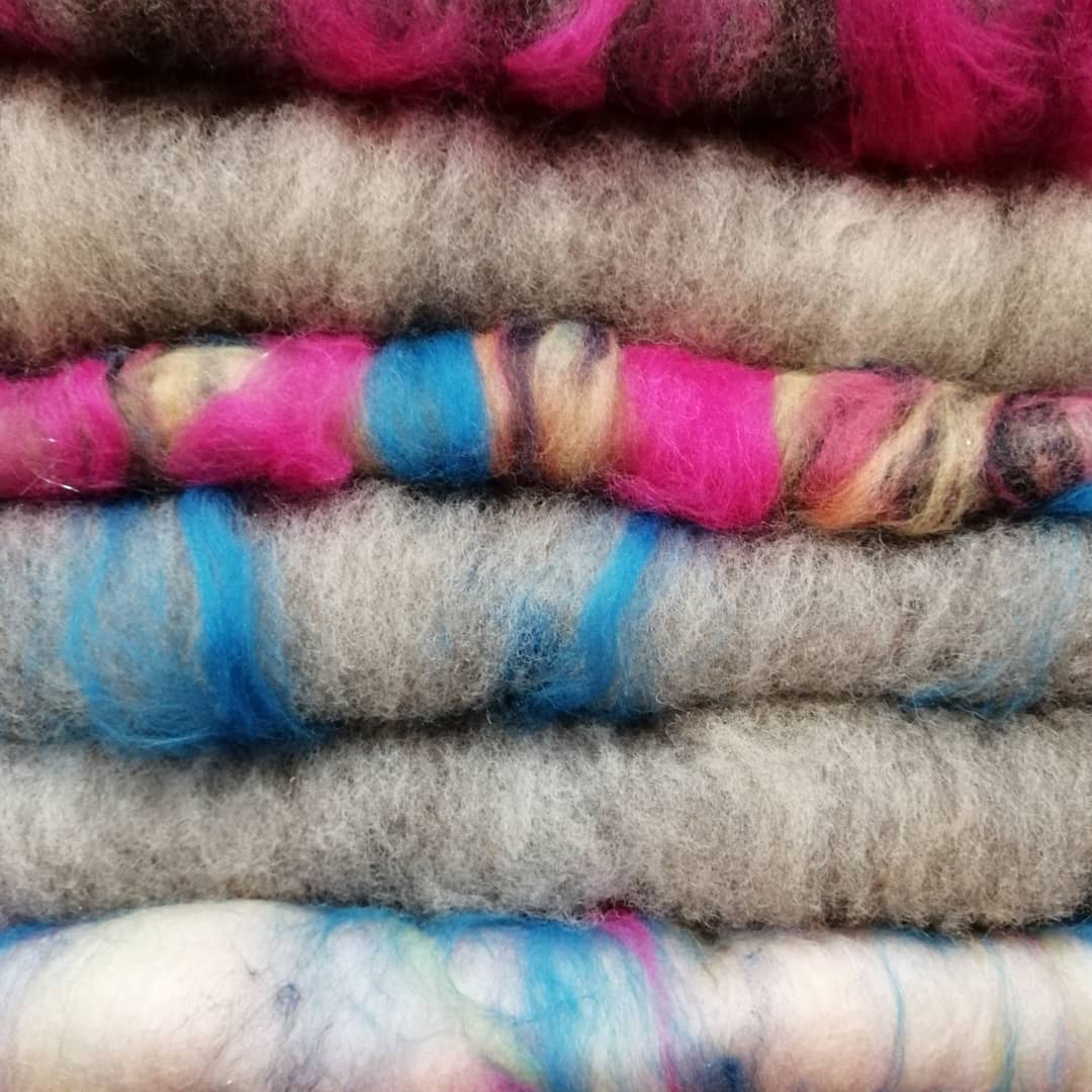 fauxidermy_uk's tweet photo. Batts carded  from Texel Jacob x fleece using classic carder drum carder... #wales❤️ #campaignforwooluk #spinnersoftwitter #spinning #batts https://t.co/yISRgNPfBu