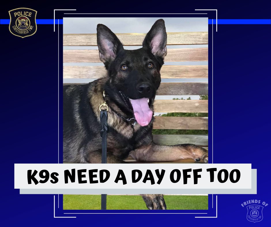 FoCHPD's tweet photo. 💙 What started out as a nice walk in the park ended with me waiting forever for Dad to return with my ice cream 🐾
#K9Problems
#K9Viper
#BackTheBlue 🇺🇸 https://t.co/Fm4cJY6zrH