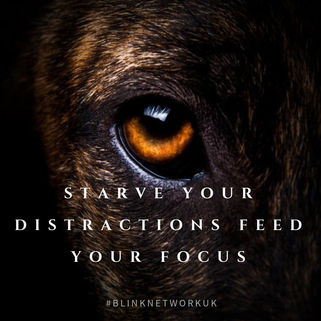 BlinknetworkUk's tweet photo. Bring your 'A' game. Expect nothing, put everything on the line. Really it is all a test of your will, nerve and determination. Believe in yourself. #entrepreneur #BlinknetworkUK #unshakable #iwillwin #dreams #iwillsucceedperiod #adventures #doitforyou #success #focus #lifegoals https://t.co/VcXfwRmKdm