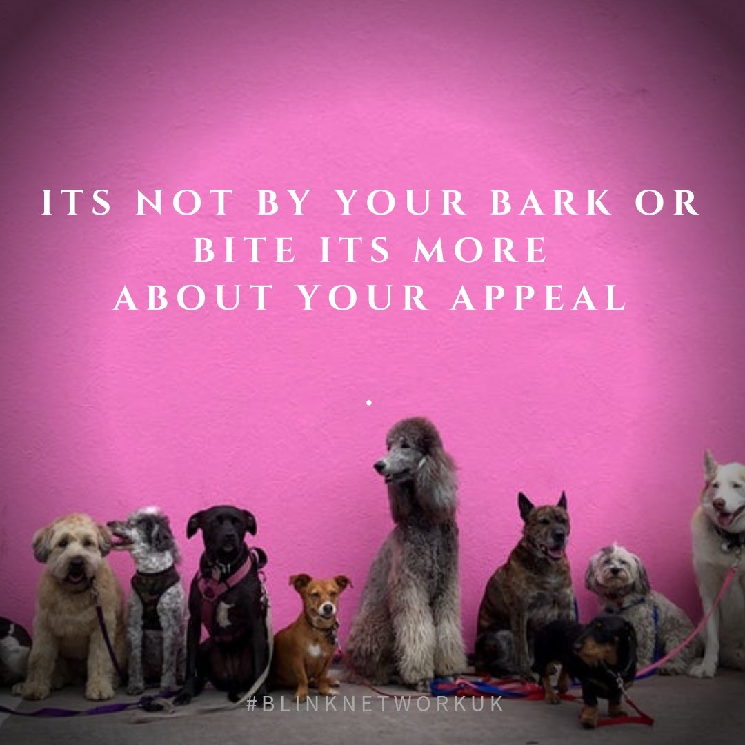 BlinknetworkUk's tweet photo. Bring your 'A' game. Expect nothing, put everything on the line. Really it is all a test of your will, nerve and determination. Believe in yourself. #entrepreneur #BlinknetworkUK #unshakable #iwillwin #dreams #iwillsucceedperiod #adventures #doitforyou #success #focus #lifegoals https://t.co/VcXfwRmKdm