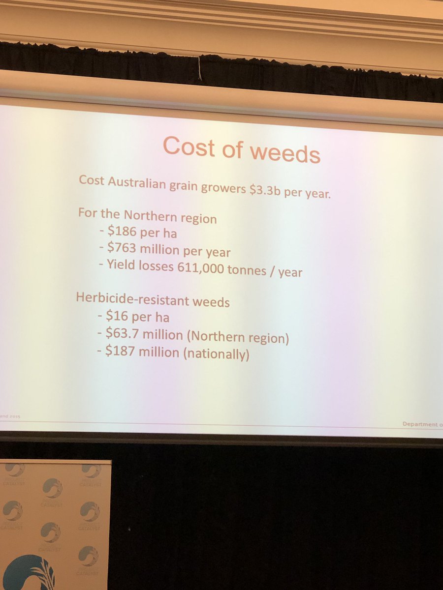 Weeds cost Australian grain growers $3.3billion a year. Translates to $186/ha for the northern region alone. #herbicide #weeds #grain #projectcatalyst