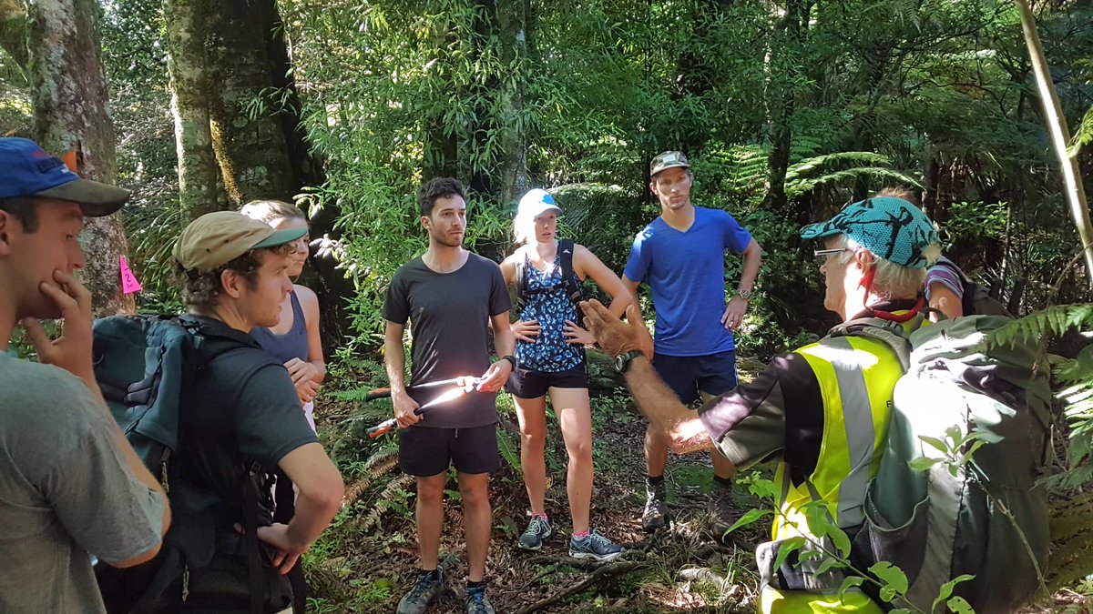 NZ Resident Doctors tweet media