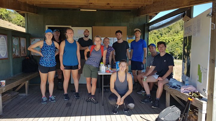 NZ Resident Doctors tweet media