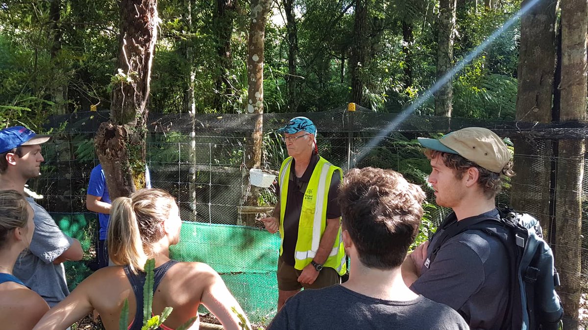 Resident Doctors in the Bay of Plenty have been helping the Aongatete Forest Project Team by clearing the forest and tracks during the strike today.

#NZRDA #Doctors #Strike #BayofPlenty #NewZealand