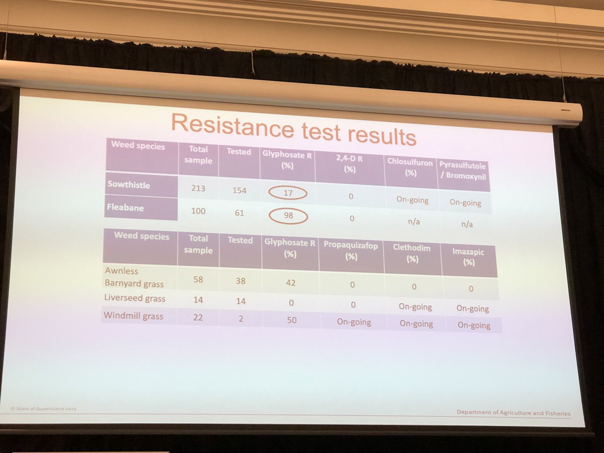 100 samples of #fleabane tested and 98% were found to be #glyphosate resistant. #projectcatalyst #grainsindustry