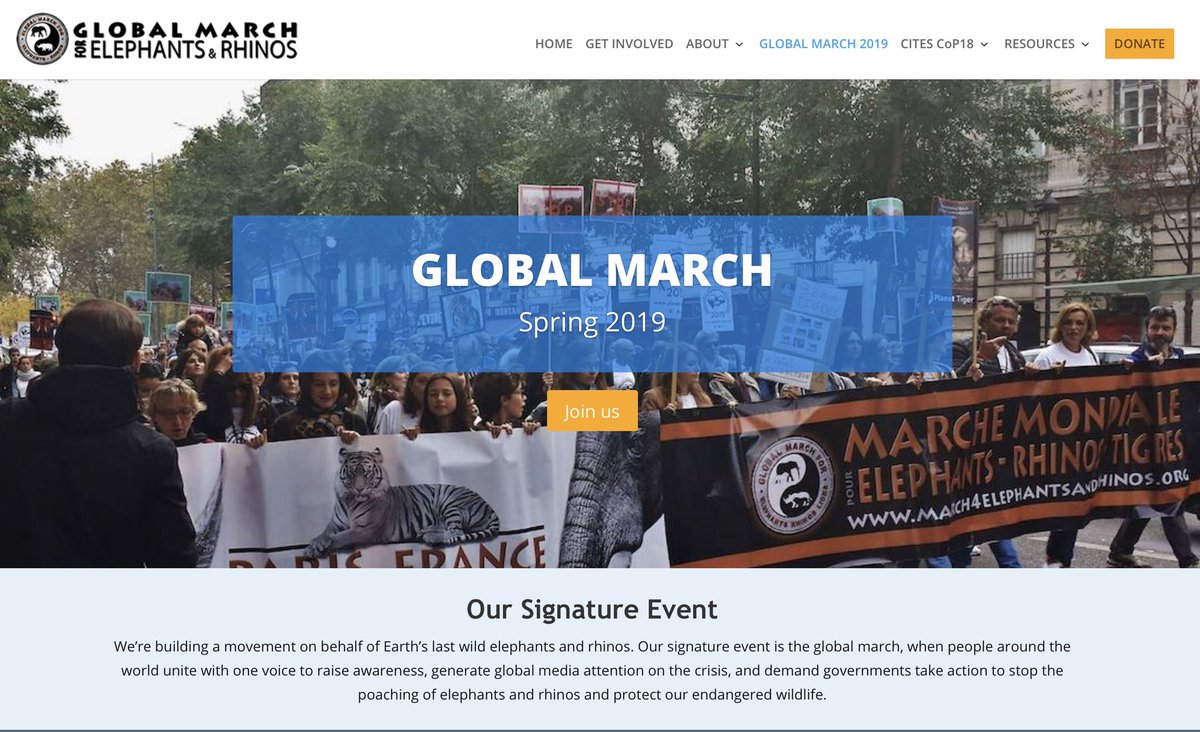 JOIN the global march and raise awareness! SAVE ELEPHANTS and RHINOS! #elephantawareness  
march4elephantsandrhinos.org/global-march/