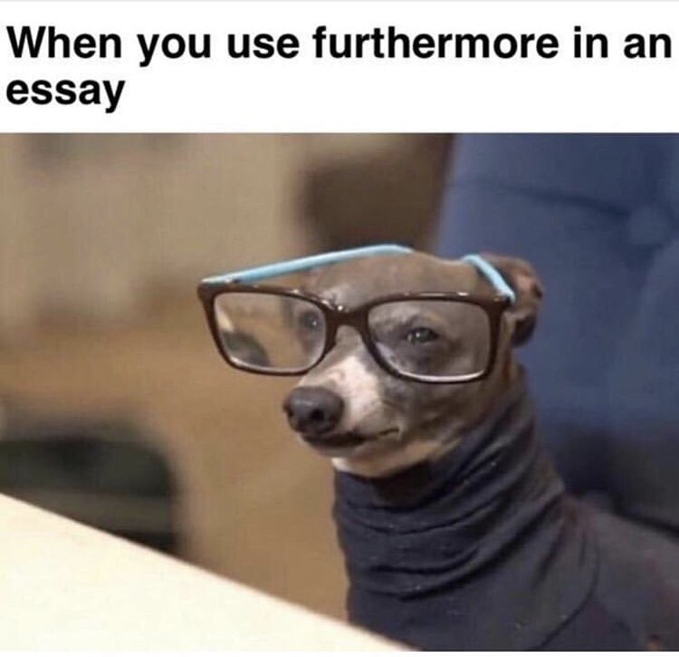 PhiSigmaPi_AX's tweet image. 