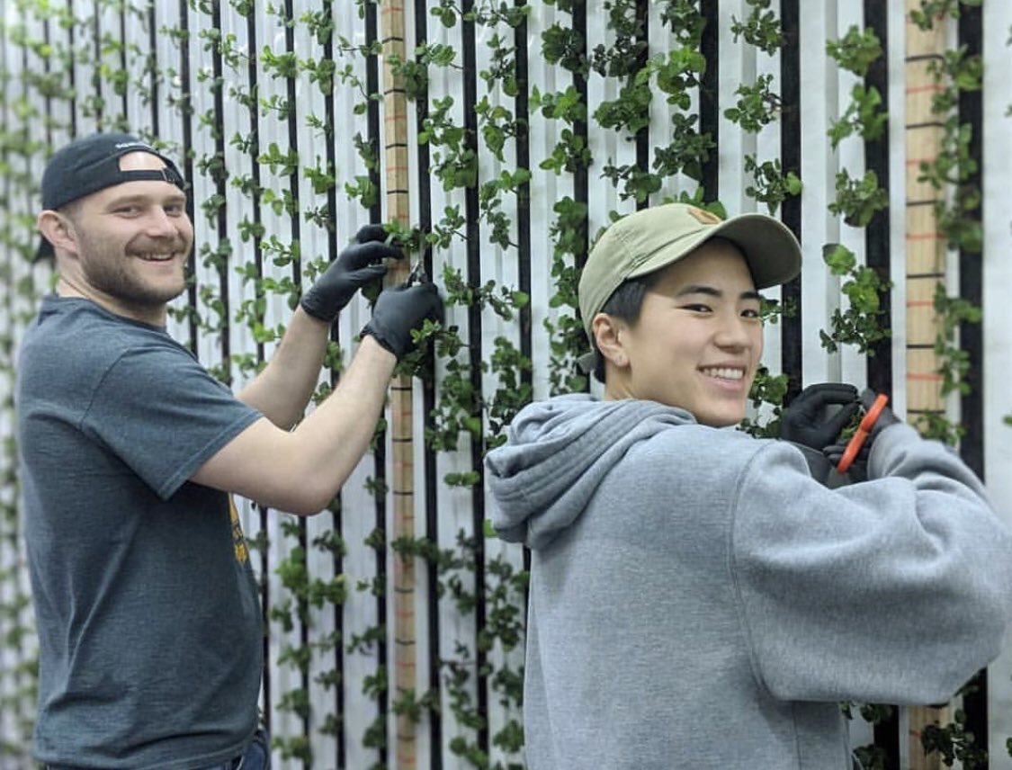squarerootsgrow's tweet photo. Farming is hard work - but tech &amp; operational efficiencies make it easier, and sometimes even fun. 😉 (This photo, case in point.) By being in the farms daily, our farmers have unique insights that allow us to continuously evolve and innovate. #nextgenfarming #nextgenleaders https://t.co/lL6gq288aY