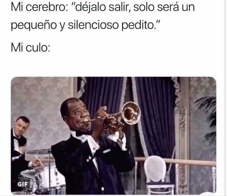 bixosdement's tweet photo. π±π€£π€£π€£ @bixosdement #funny #meme #FunnyPictures #chistes #video #eshumorcom #fun #comedy #lol #chiste #humor #imagenes #divertido #FelizMartes #BuenMartes https://t.co/0PhB24O4lr