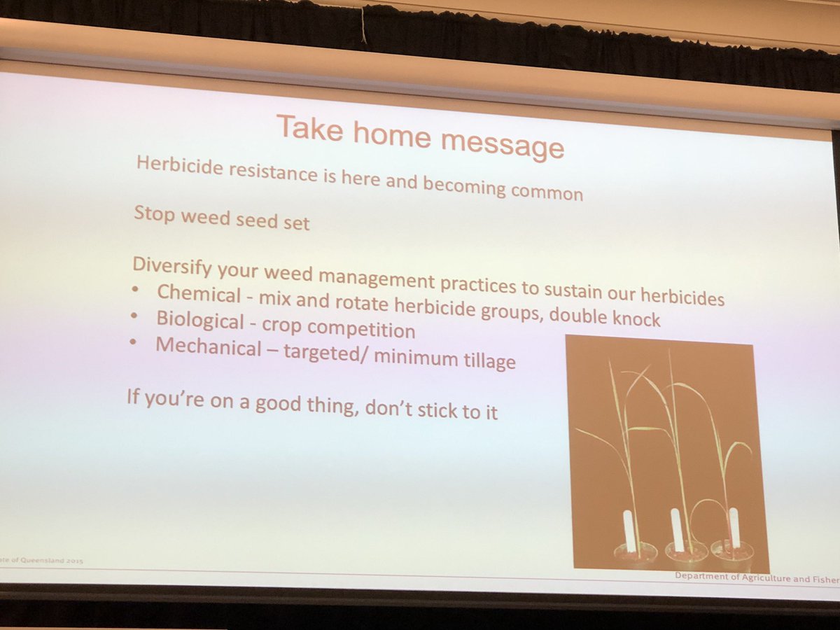 “When it comes to herbicide resistance, it’s a number and a time game. If you’re on to a good thing, don’t keep doing it.”- Adam Jalaludin. #projectcatalyst #herbicide #weedresistance #takehomemessage #grains