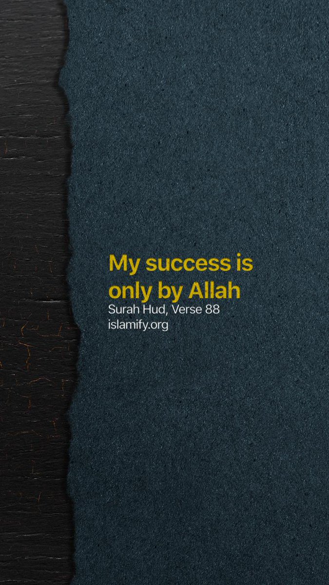 My success is only by Allah. 
Upon him I have relied, 
and to Him I return.

#Quran 11:88