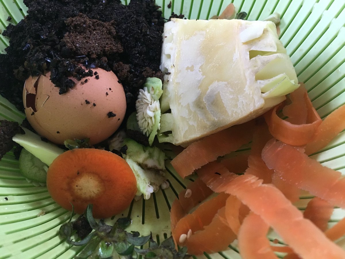GomiKitchen's tweet photo. きょうの生ゴミ159g
コーヒー豆、紅茶、にんじん、卵の殻、ピーマン、いちご、オクラ、キャベツ
#compost
#コンポスト
#kitchengarbage
https://t.co/ayPc6xlHkx https://t.co/vqpxggVUEo