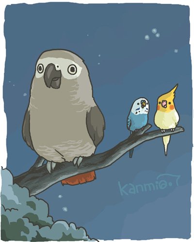 #私の絵柄が性癖に刺さる人に届いてほしい 
主にインコを描いてます 