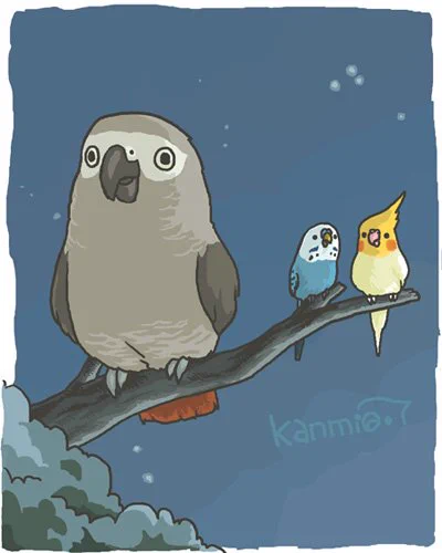 #私の絵柄が性癖に刺さる人に届いてほしい 
主にインコを描いてます 