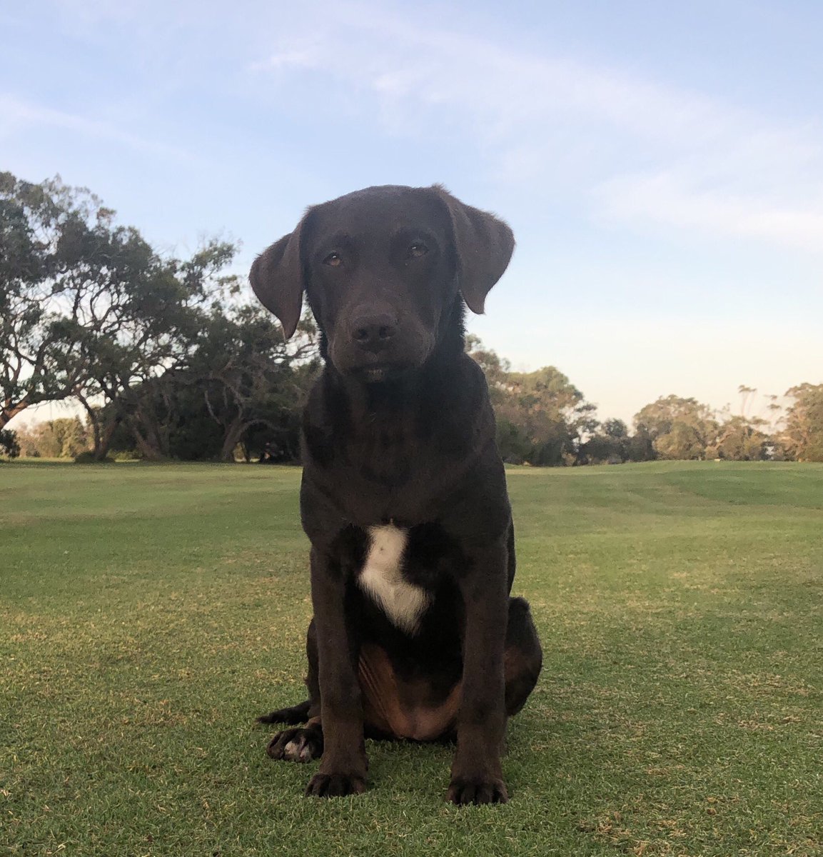 DarrenChesterMP photo