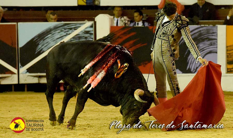 Ramsés: oreja y oreja
#CorridaGoyesca
Má imágenes en bit.ly/2RT6hfR