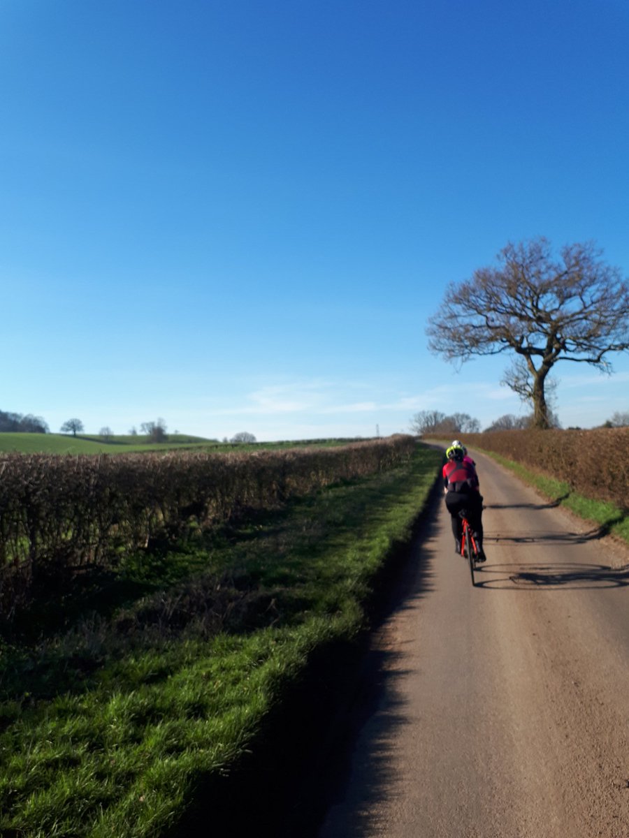 gigglesther's tweet photo. #100HappyDays 94: Various
- Found some inspiring gifts for people I care about #thanksFacebookalgorithms
- Unbelievable February weather on my ride today #isitjune
- Snuggles with the cat #ithinkshemissedus https://t.co/9ErEjzmXYC