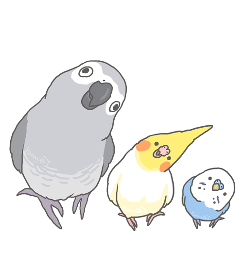 #私の絵柄が性癖に刺さる人に届いてほしい 
主にインコを描いてます 