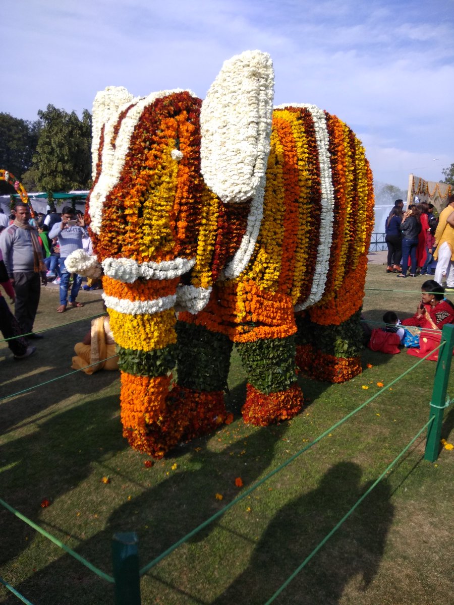 regalrajasthani's tweet image. #47thRoseFestival
#KiteFlyingShow
#KiteFlyingCompetition
#RoseGarden
#Chandigarh