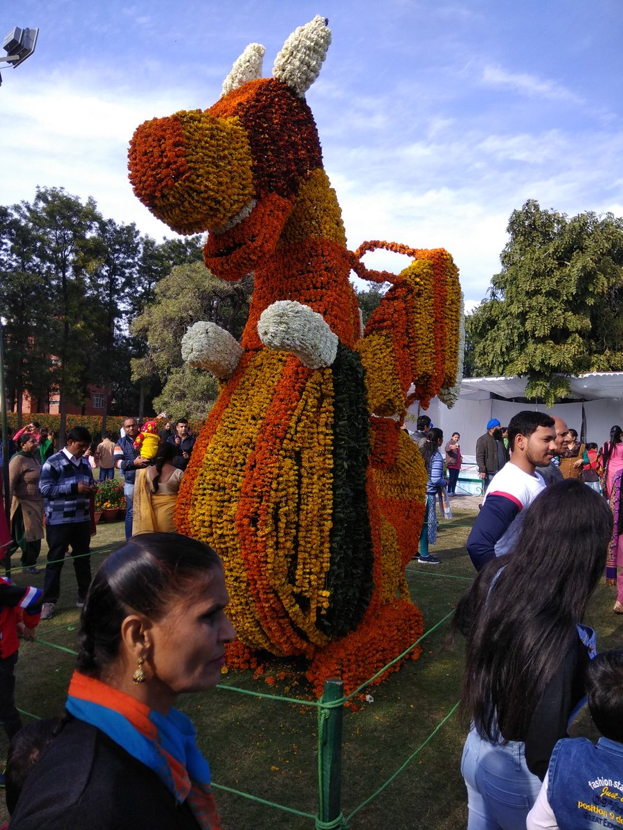 regalrajasthani's tweet image. #47thRoseFestival
#KiteFlyingShow
#KiteFlyingCompetition
#RoseGarden
#Chandigarh