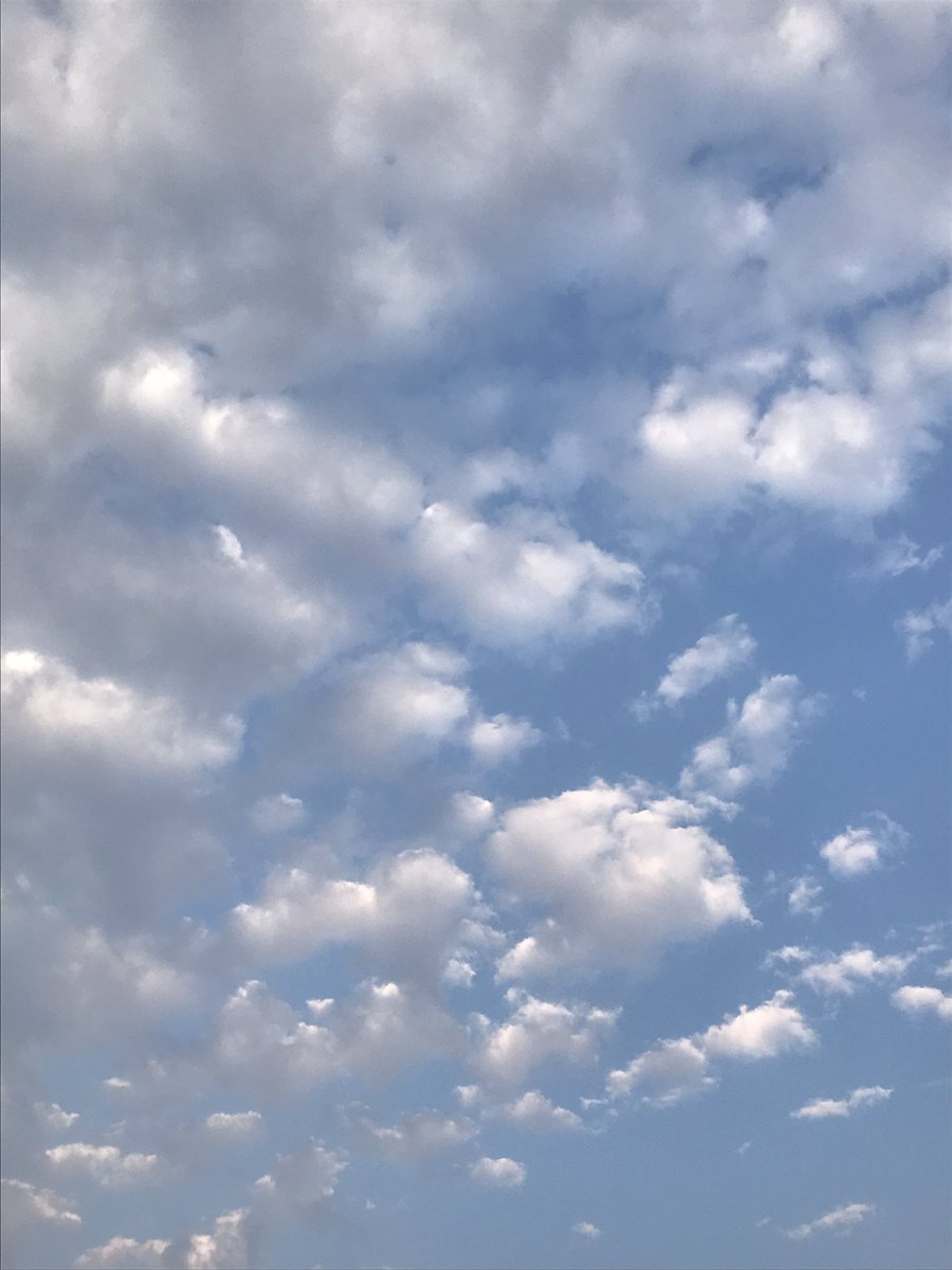 𝐏𝐇𝐀𝐄𝐍𝐃𝐈𝐍 tweet media