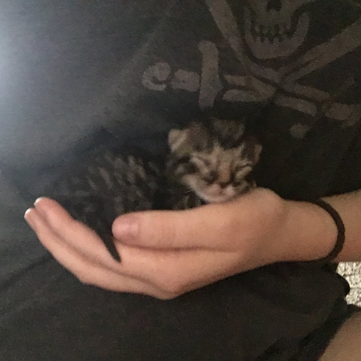 Emmaboowho's tweet photo. Tiny uwu💖💗💞💕💘 https://t.co/wAtNi8fCYZ
