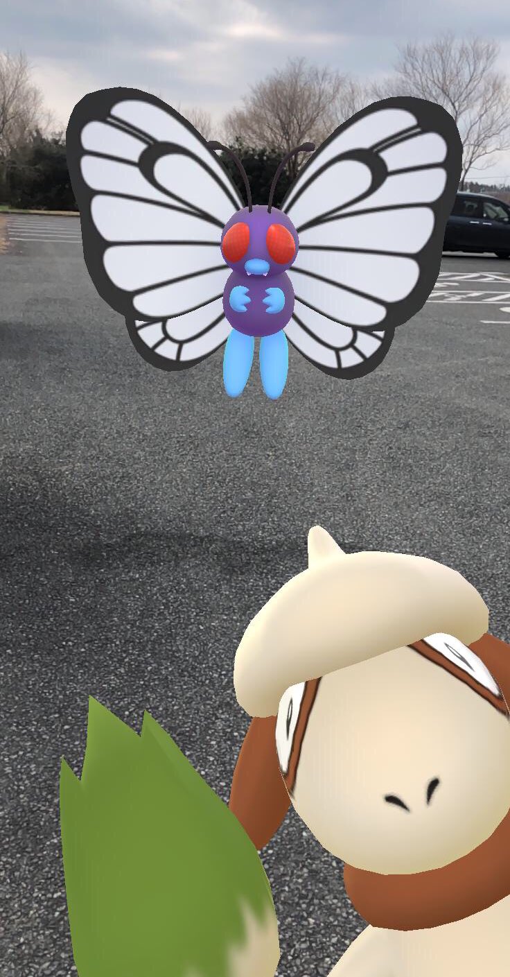 画像 バタフリー撮ってたらドーブルが入ってきた ポケモンgo T Co 9ksnhgkhqp まとめダネ 画像 バタフリー撮ってたらドーブルが入ってきた ポケモンgo T Co 9ksnhgkhqp まとめダネ