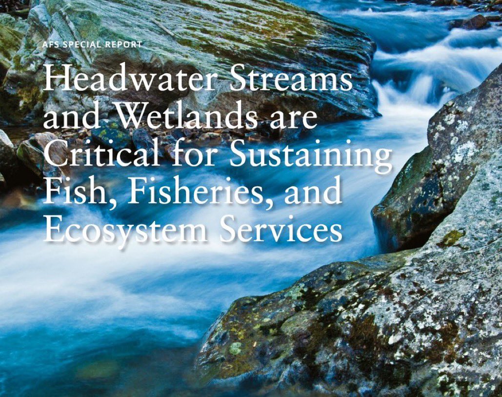 AmFisheriesSoc's tweet photo. New open-access paper and AFS Special Report: Headwater Streams and Wetlands are Critical for Sustaining Fish, Fisheries, and Ecosystem Services @wileyecology #WOTUS #WaterRule https://t.co/RjHfISrhL8 https://t.co/1dgskoFWcB