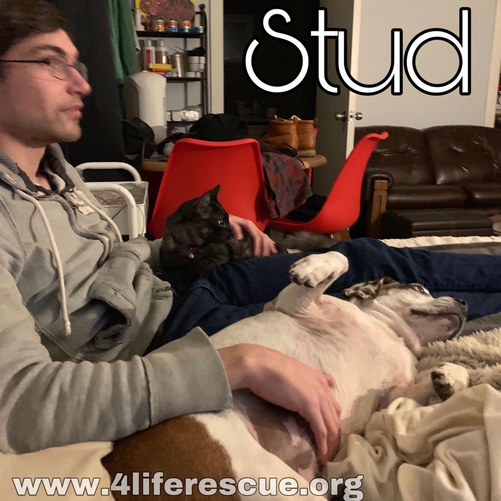 4LifeRescue tweet media