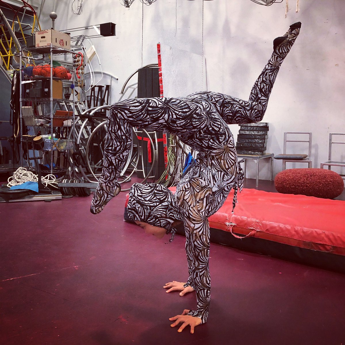 Trying out some fun, new costumes! 
#onesie #circuslife