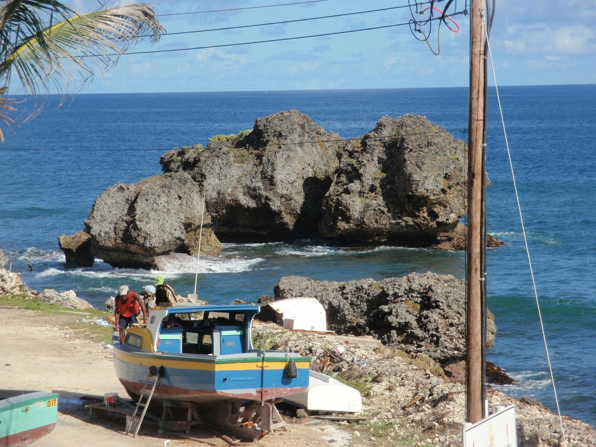 WardensBarbados's tweet photo. The everyday scene in Tent Bay, Barbados. Come see for yourself!
#theatlantishistoricinn
#barbadoshotels
#barbadosrestaurants
#tentbaybarbados https://t.co/irPri3W4ID