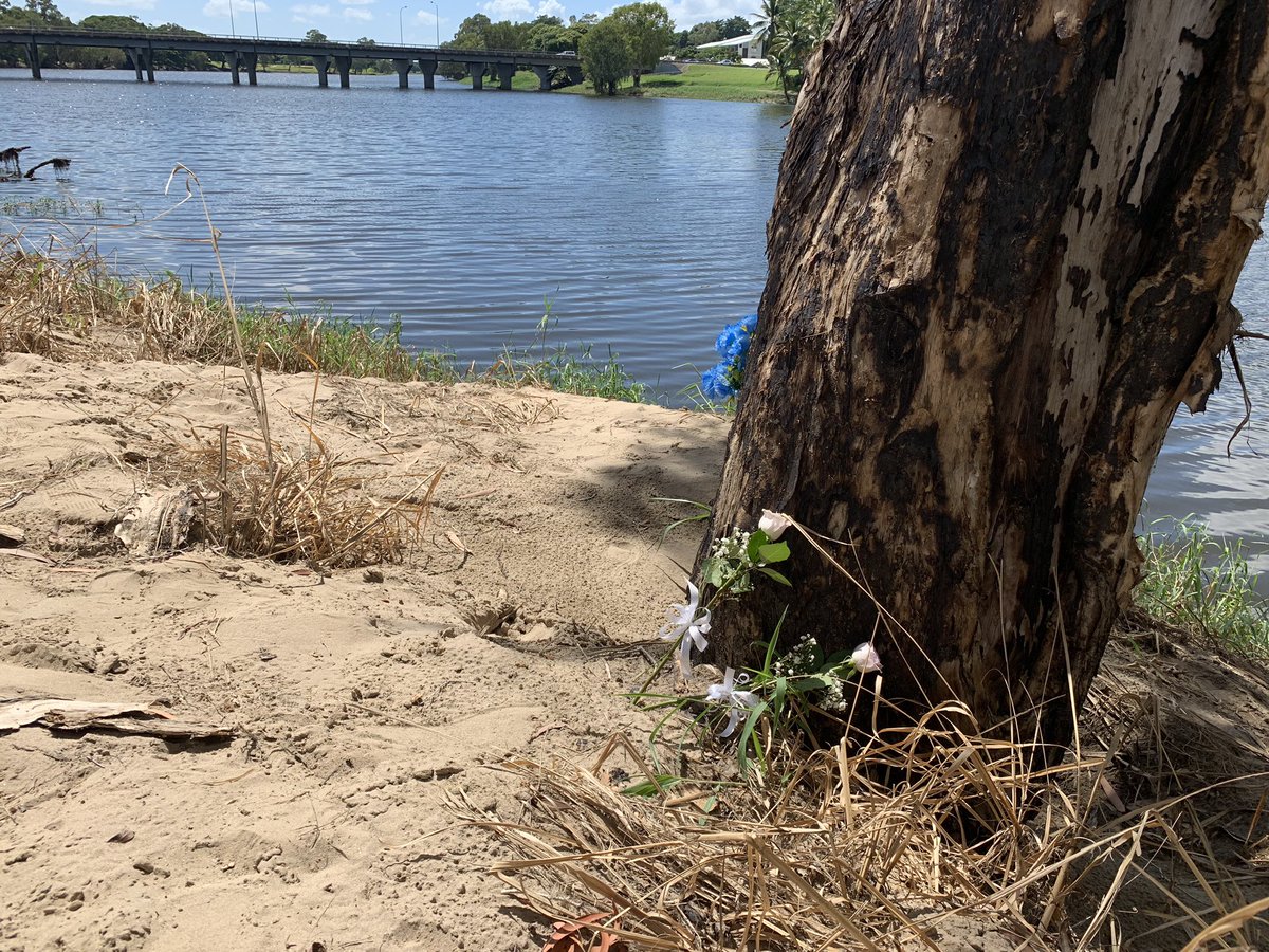 Two white roses in memory of the three and five year old brothers found in the Ross River early this morning <a href="/abcnews/">ABC News</a>