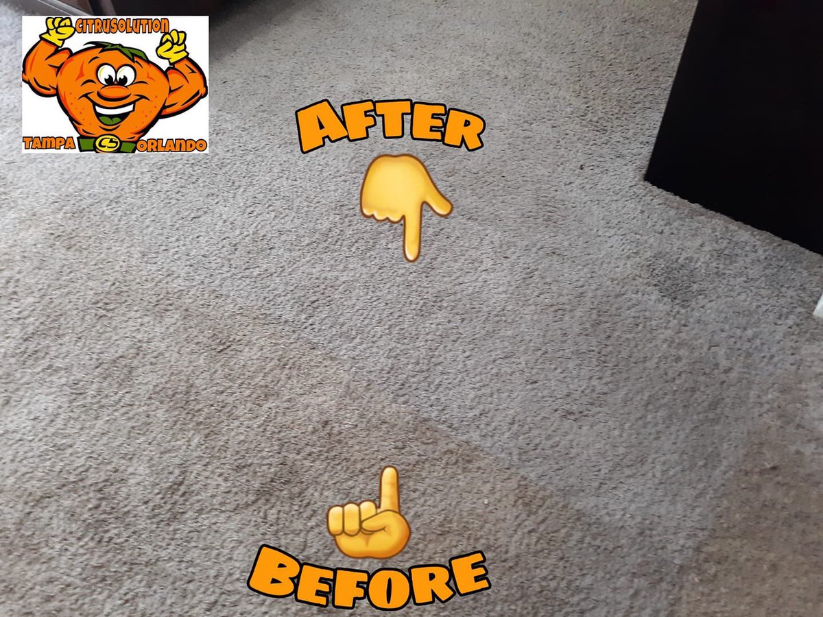 McCitrusolution's tweet image. 🗣You can clearly see the #CitruSolution Product breaking up stains while spraying it on the Carpet!  Also, our Product doesn&apos;t contain any soap. 🤷‍♂️  🍊🍋🍊🍋
