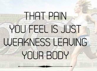Everything Fitness tweet media