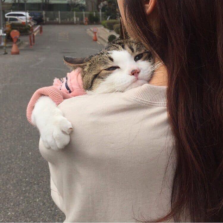 fffuujkkk's tweet photo. งื้ออออออ อย่างกะลูกน้อยยยย https://t.co/rT4jKGLiyw
