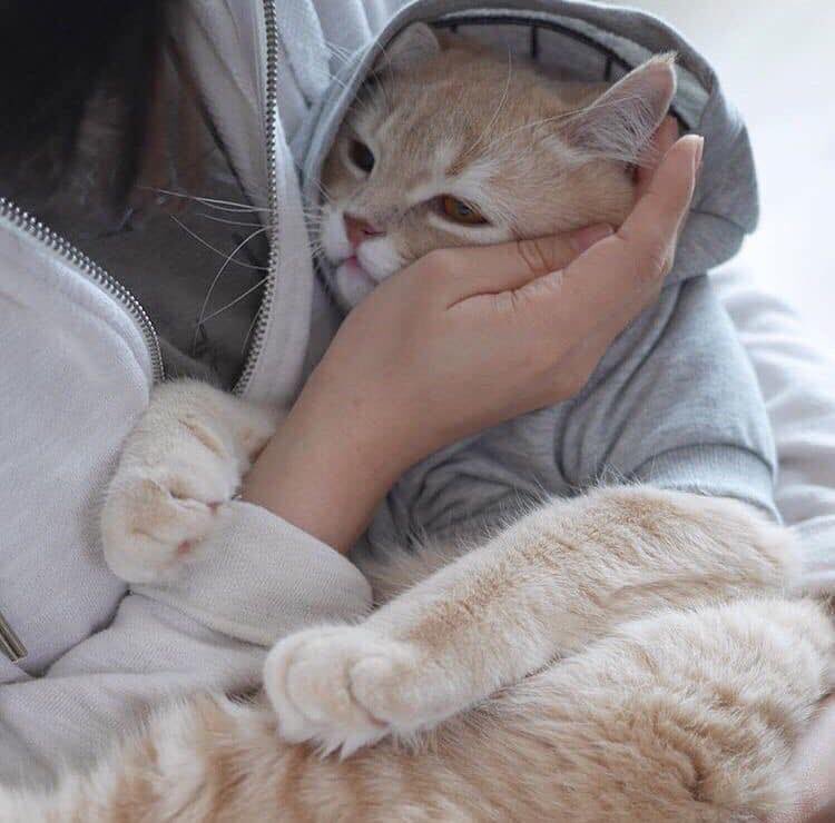 fffuujkkk's tweet photo. งื้ออออออ อย่างกะลูกน้อยยยย https://t.co/rT4jKGLiyw