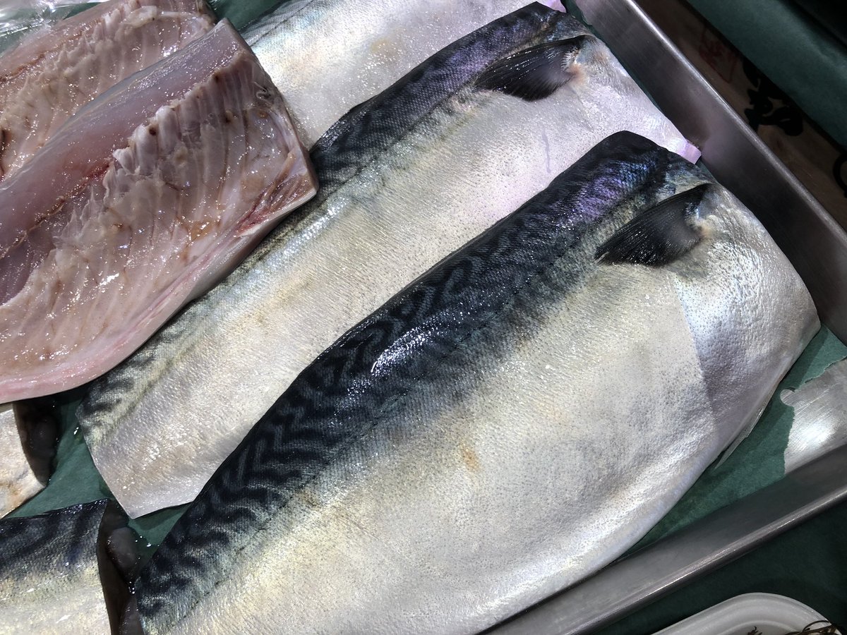 魚市 二子新地鮮魚店 魚市です おはようございます 本日のおすすめ 長崎産とらふぐ白子入荷しました 生本まぐろ刺身 宮崎産初がつおタタキ 愛媛産真鯛刺身 千葉産地金目鯛刺身 昆布〆 千葉産寒サワラ刺身 自家製特大寒さば一夜干し 北方