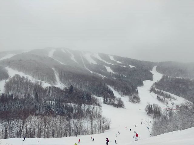Digital_Waffles's tweet photo. What a powder day at Tremblant today! #tremblant #snowboarding #snow #mountains #pretty #nature https://t.co/zqd6l1fRiN https://t.co/NzAjrcXlZf