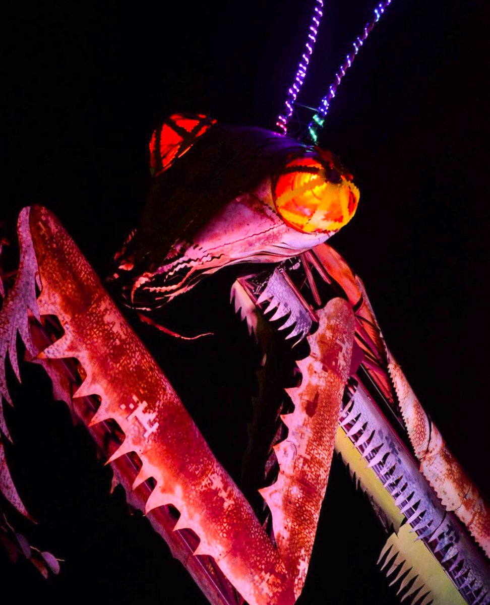 DTContainerPark's tweet photo. "It's alive, IT'S ALIVE!" - Dr. Frankenstein (and our nightly sunset drum circles) 🤣 #MantisMonday #DTLV
📸: @ihateraul https://t.co/lfGPCUXaj3