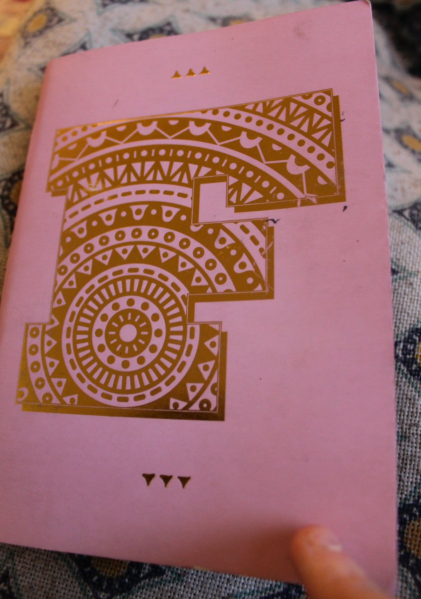 cactuscakes's tweet photo. I was given a mysterious notebook with this unexplained cover and decided to fill it up with "f word" doodles [thread] https://t.co/6pvGazNyEK