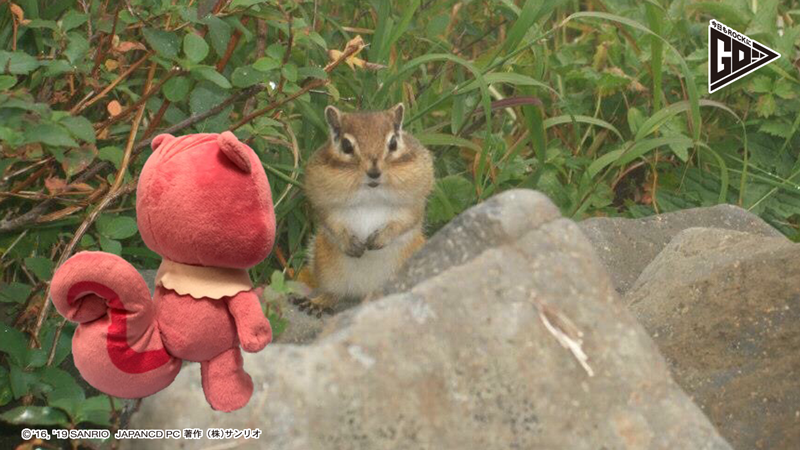 JCDanim's tweet image. 【今日もROCKにGO!】
カリーナ「そう!コツは下前歯の裏に舌を当てて、ローソクを吹き消すような口で吹くの!」
#カリバディクス #Lesson1 #口笛の音の出し方