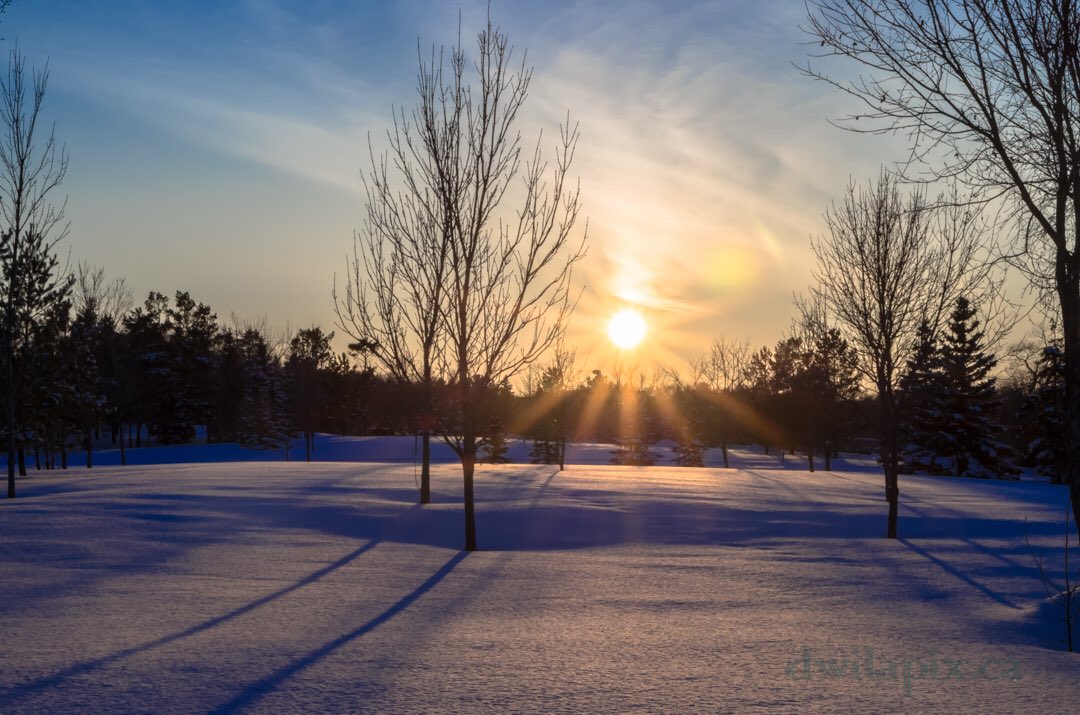 dwilapix's tweet photo. Loooong shadows and the sun’s evening snow glow tells the story of winter on the prairies.
#winterwonderland #winterwalk #winterwalks #winterwalking #hikingismagical #optoutside🌲 #cbcskwinter #exploresask #universalviews #captures_scenic #nature_obsession #nature_obsessions https://t.co/8nu41luui0