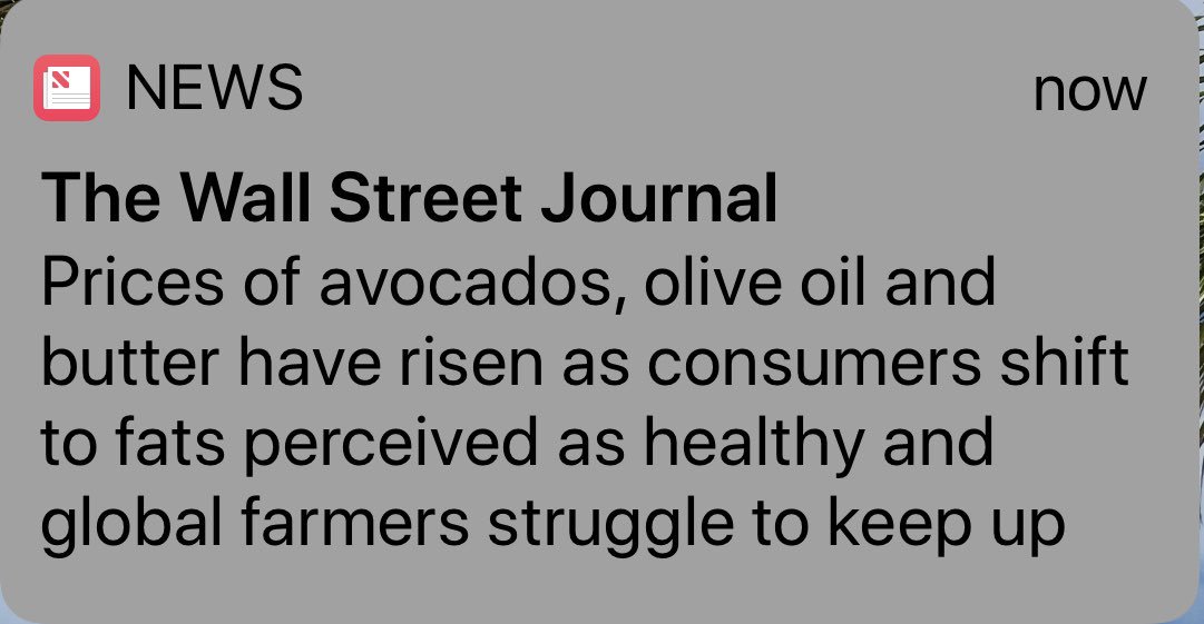 BlanchardWatch's tweet image. @VinnieTortorich “Perceived” 
Well, I can’t wait till #fatadocumentary starts educating the masses...