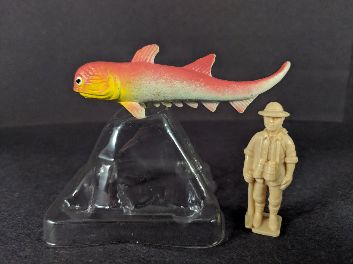 FaunaFigures's tweet photo. Having missed several #ToyFishTuesday now, I needed to get back in it. So I went OLD. I had a figure like this acanthodiian when I was...12? I think they were made by Prior (recasts exist now)
@TimDrawsFish @TetZoo @dinodadreviews @dinotoyblog @DinosaurDracula https://t.co/PsttX6MjLK